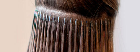 Изображение взято из поиска Google