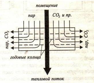 Тепловая энергия из деревянного дома выходит наружу наоборот – поперёк бревна.