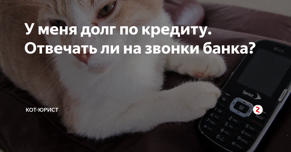 Почему не звонят банки. Звонки из банка приколы. Звонок из банка прикол. Звонок из банка Мем