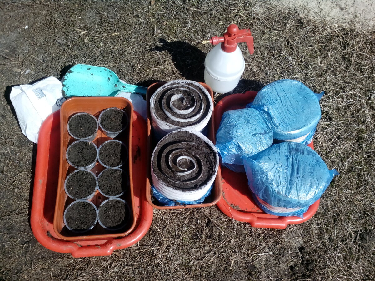 Улитки для махорки