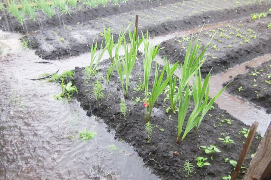 Фотография с сайта krassever.ru 