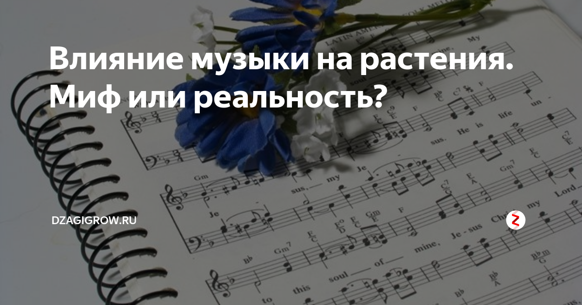 Влияние музыки на растения - презентация онлайн