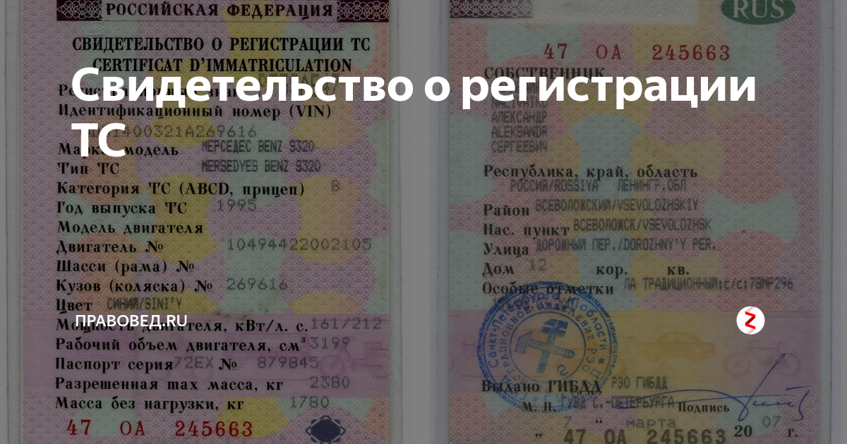 Где стс