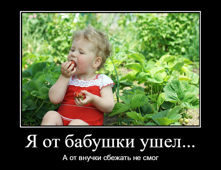 Детей тоже нет