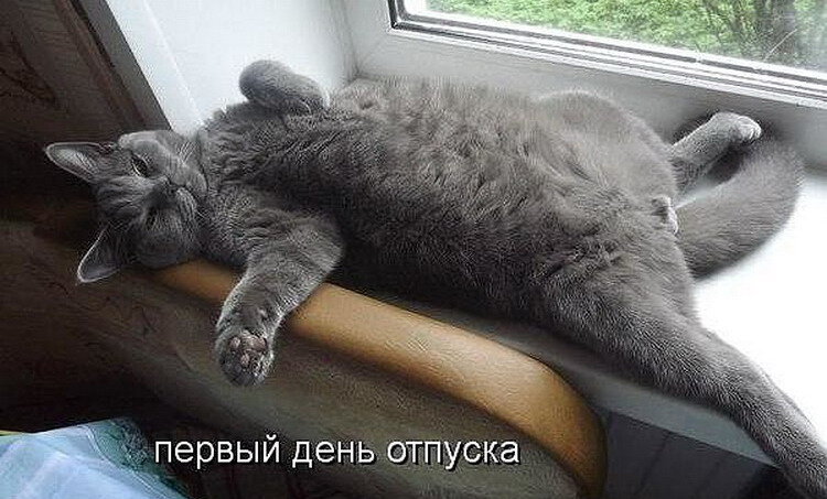 Картинка отпуск 2 недели