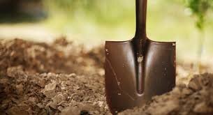 Изображение взято с сайта Google