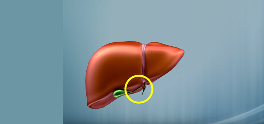 Источник: https://youtu.be/W5x7nv1ek4Q