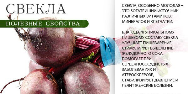 Свекла варёная - калорийность, полезные свойства, польза и вред, описание - taimyr-expo.ru