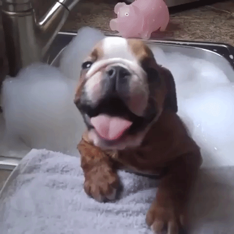 гифка: gifgifmagazine.com