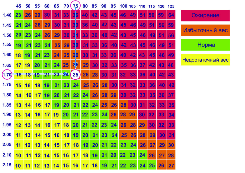              ИМТ не учитывает соотношение  жир/мышцы. 