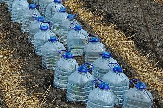 Магазин кулеров для воды по доступной цене