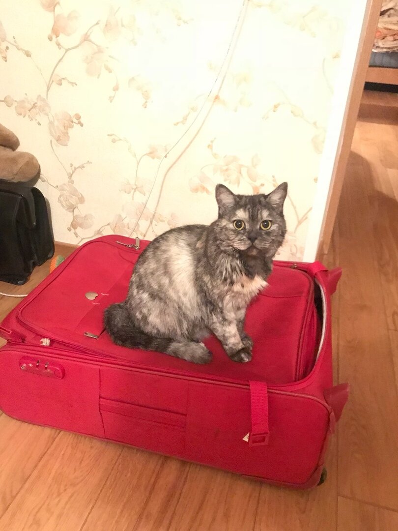 Юна (в приюте Клякса) на 2 недели отпуска родителей остается с бабушкой.