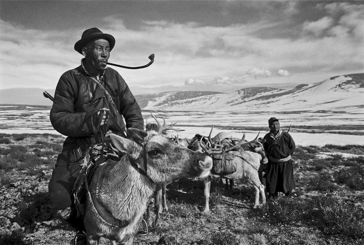 Ковбой и его лошадь