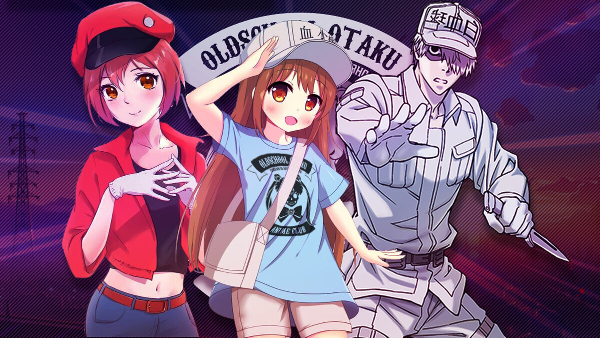 Hataraku Saibou/Cells at work 