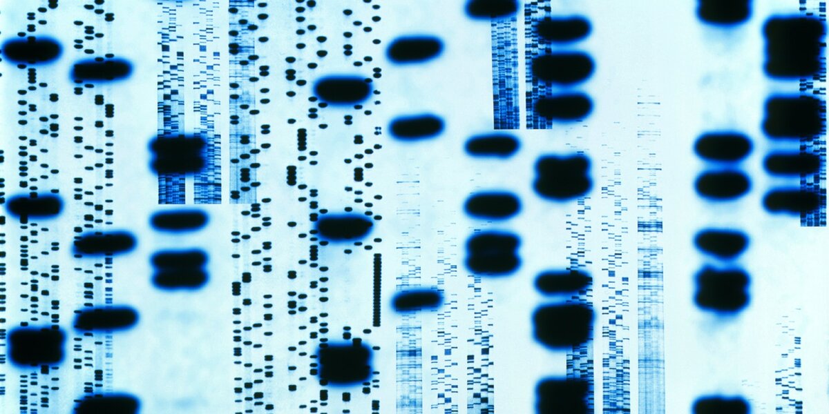 База генетики. ДНК дактилоскопия. База ДНК. DNA база. DNA Art.