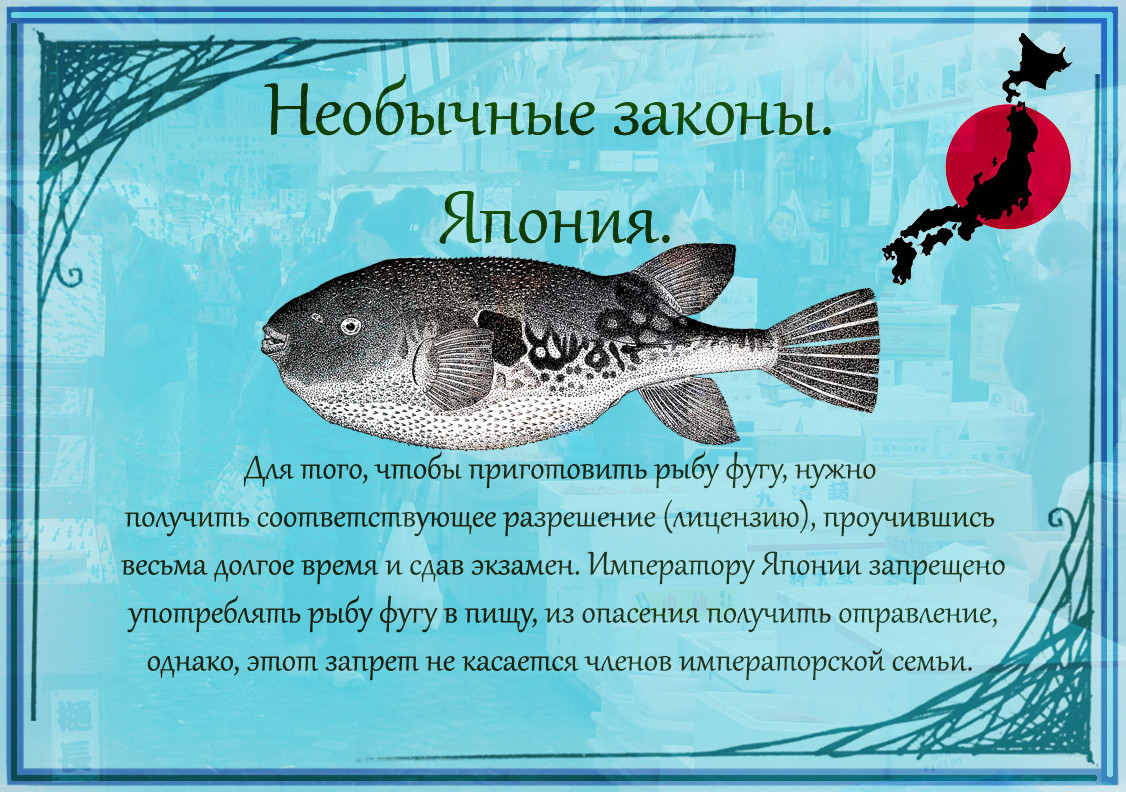 Самые странные законы в мире. Интересные законы в разных странах. Смешные законы стран. Самые странные законы мира. Необычные законы в разных странах.