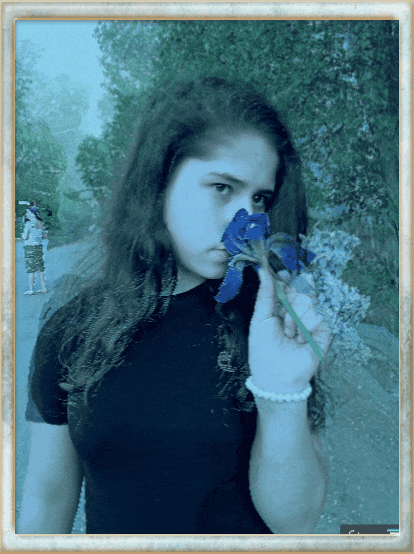 Гифка. Движение образа.