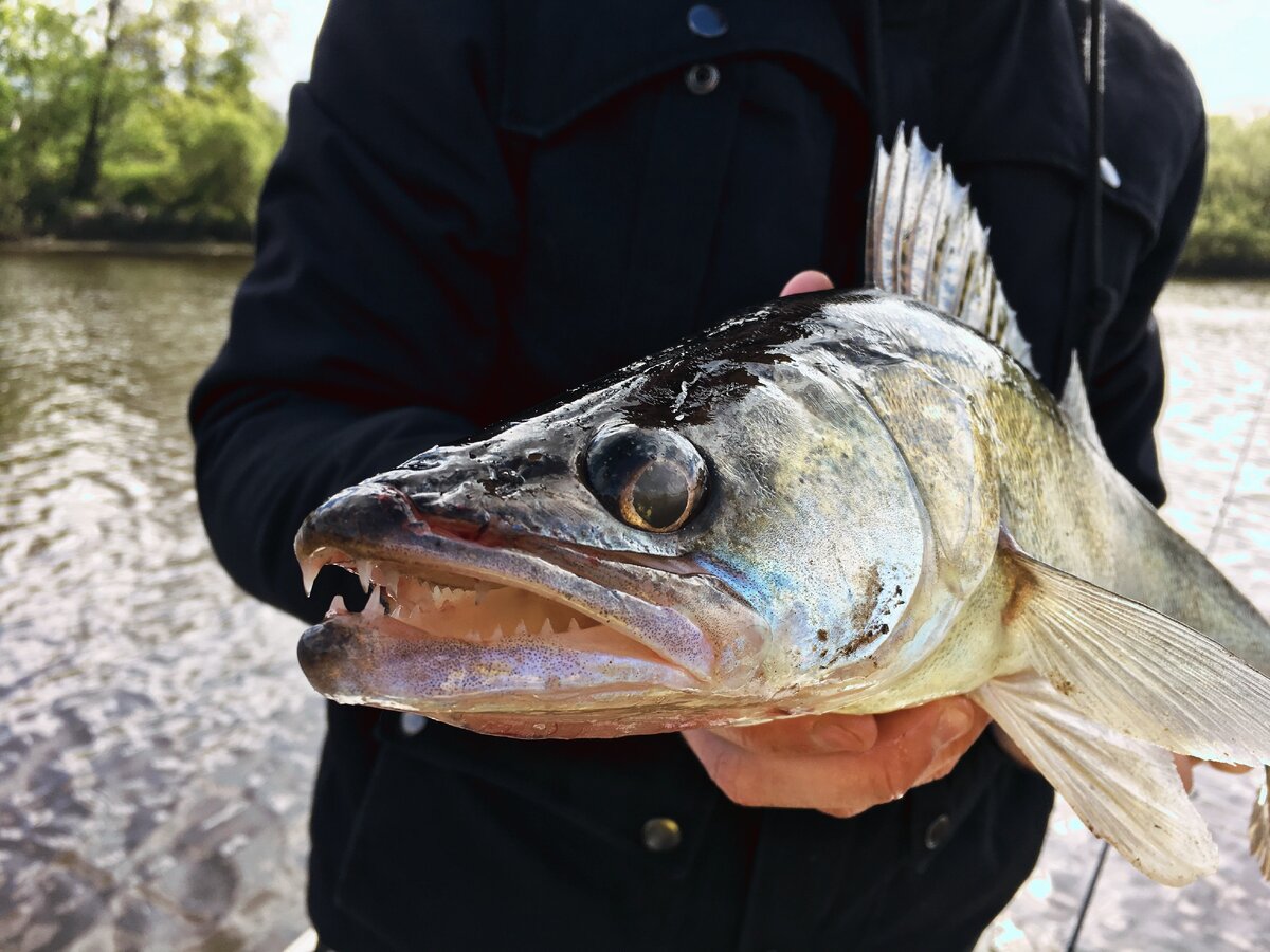 погода в феодосии сегодня. погода в судаке на 14. погода на 16. синоптик. рыбалка в астраханской области.