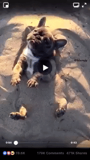 Источник: gifer.com