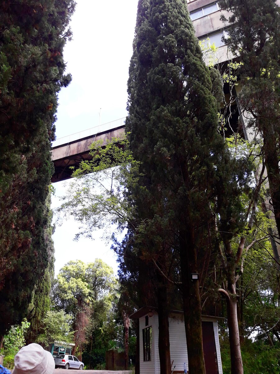 Колхида Гагра Абхазия