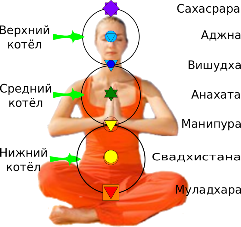 Чакры цвета и расположение. 2 отвечает за энергию. Цвет энергии человека. Схема расположения чакр человека. Чакры на теле человека схема.
