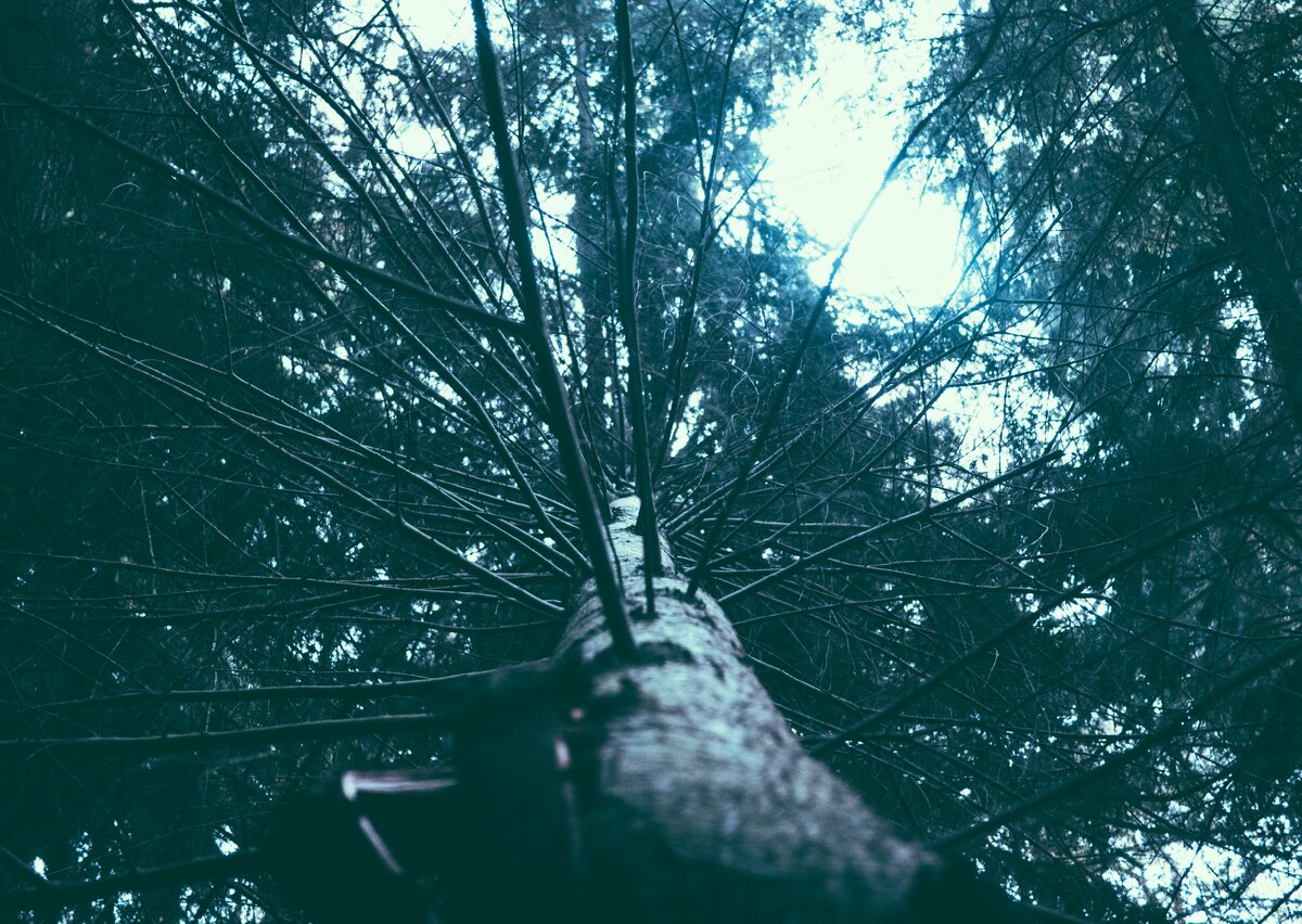 Photo by Jamie Street on Unsplash - https://unsplash.com/photos/3otSvsdmVgY