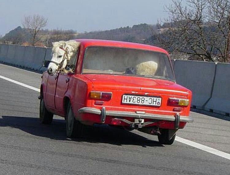 Лошадиные силы в машине
