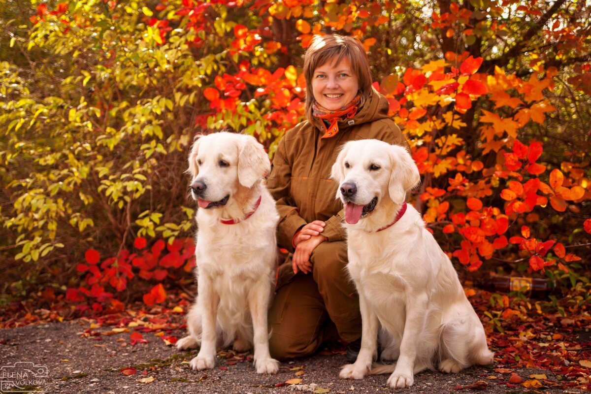 Я, Деля и Ева на тренировках по поисково-спасательной службе