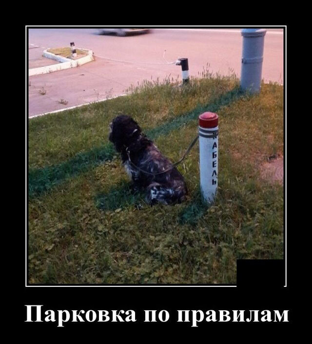 взято из открытых источников
