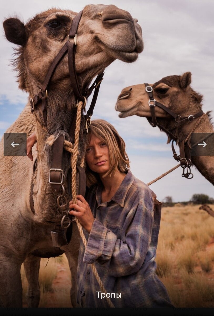 Скриншот из интернета 