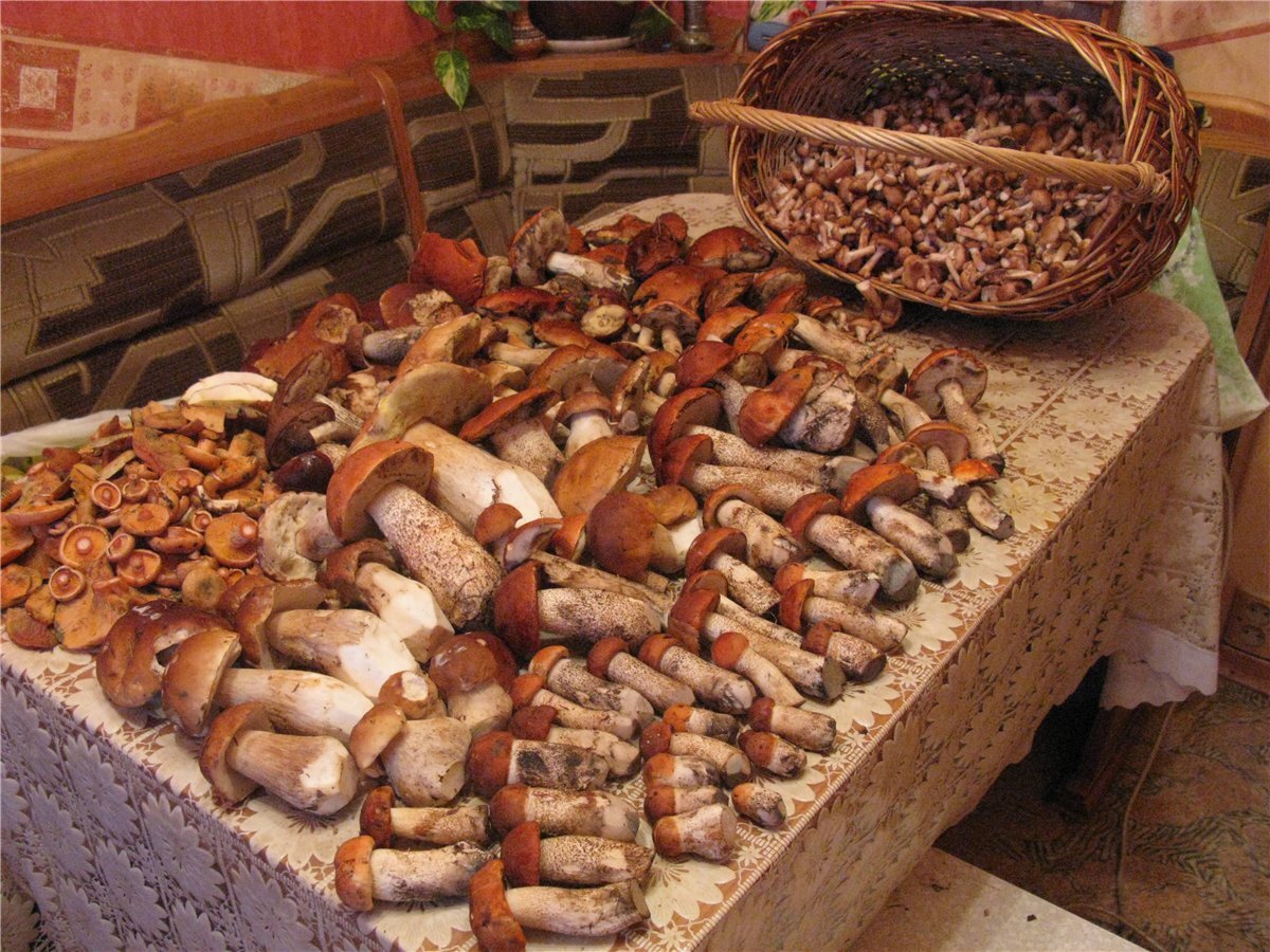 Берем все! Девиз женщин.