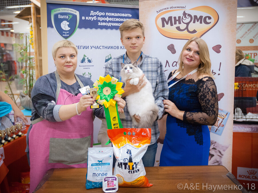 Я справа, в синем платье, в центре - мой сын и кошка Ханни. Мы рассказывали про наши маленькие успехи - на выставках, дома... 