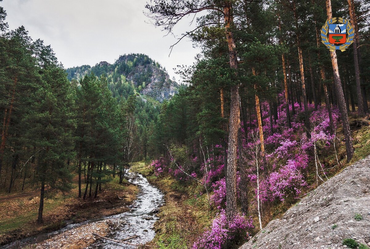 Фото алтайтурцентр