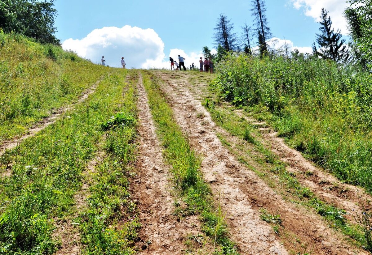 Не зарастет тропа