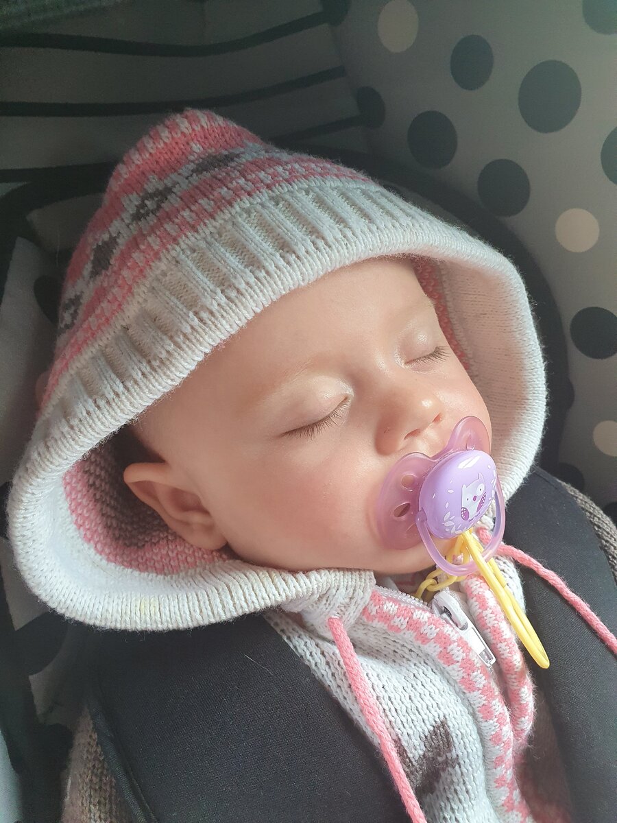 Софа спит в машине