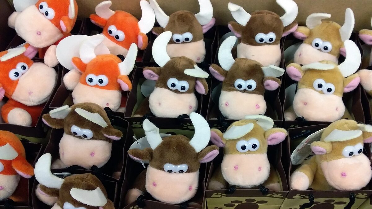 стадо быков из ближайшей "Пятёрочки"