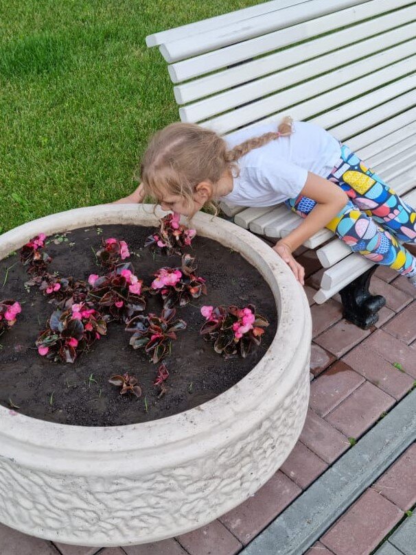 Прекрасен аромат цветов.