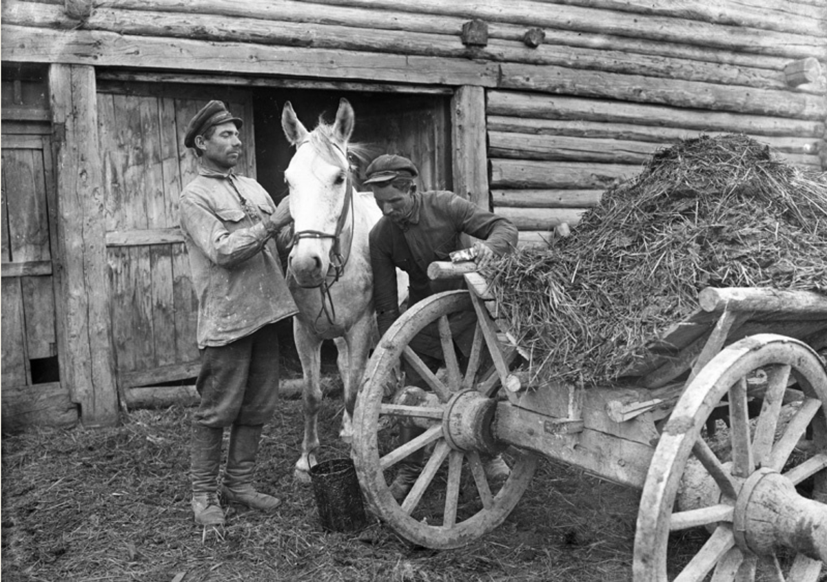 В некоторых селах. Колхоз. Деревня колхоз. Довоенная деревня. Лошади деревня колхоз.