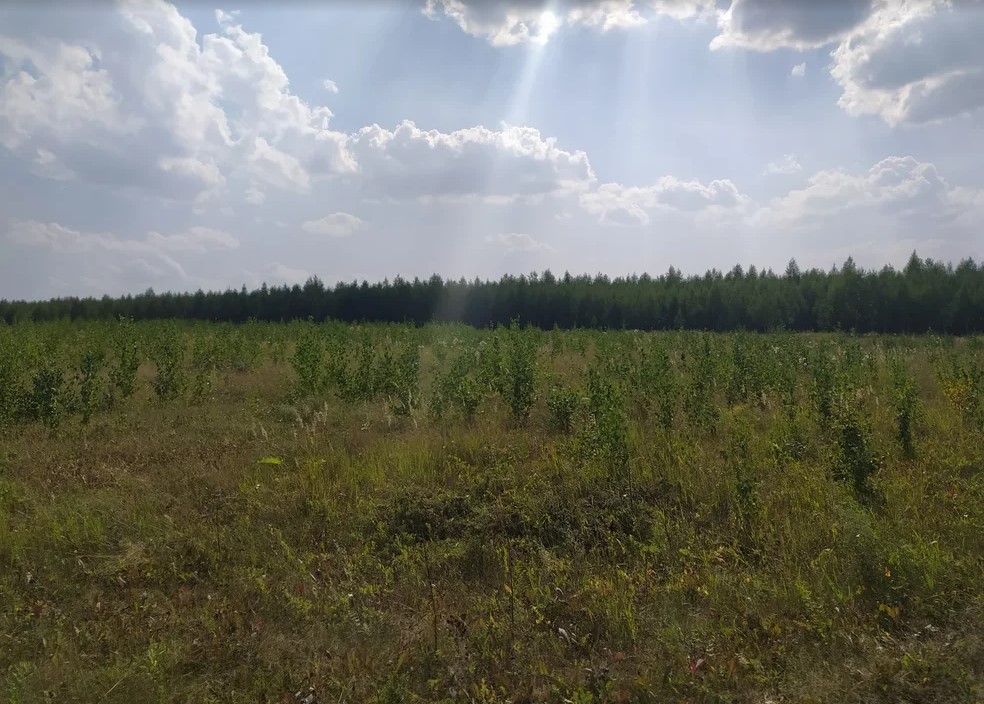 Любителям отдыхать на пляже - не понять2