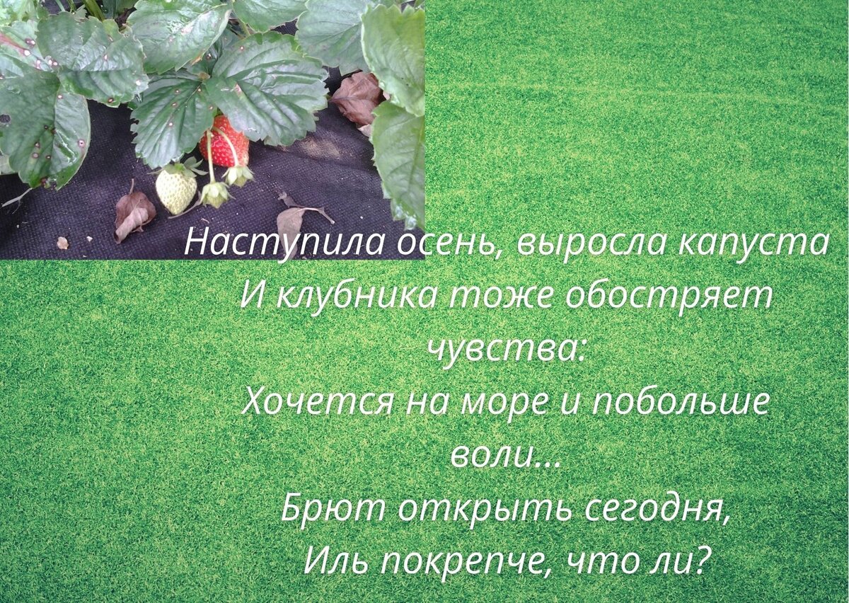 Вот такая милота с утра:))