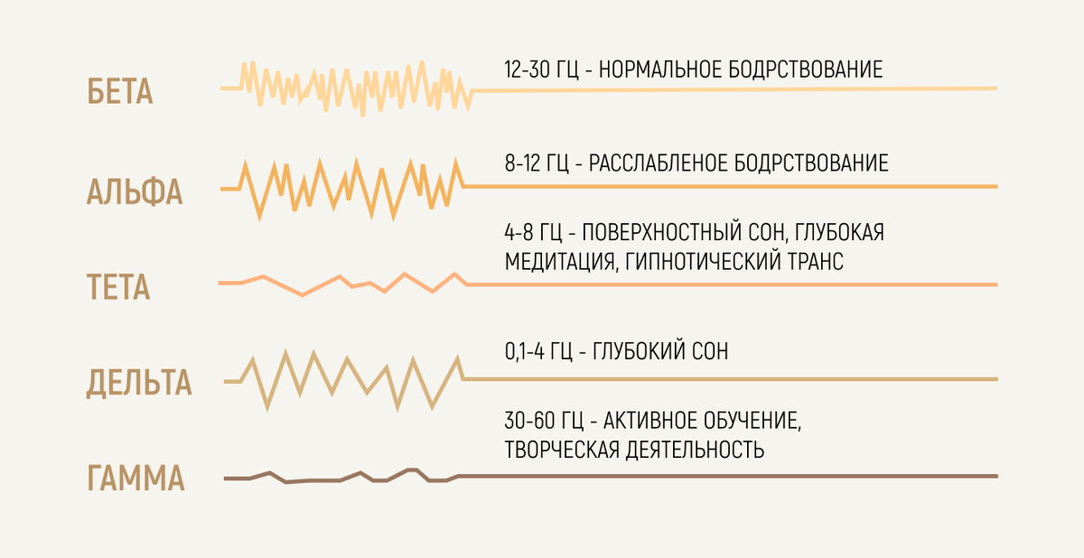 Транссексуализм: ошибка природы или человека?