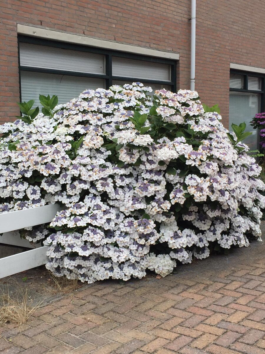 Просто красиво