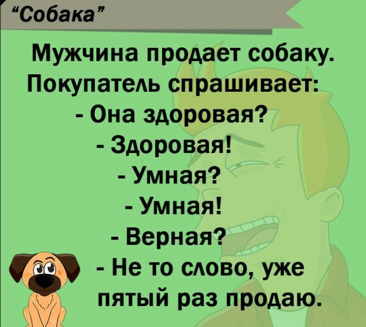 Добавьте описание
