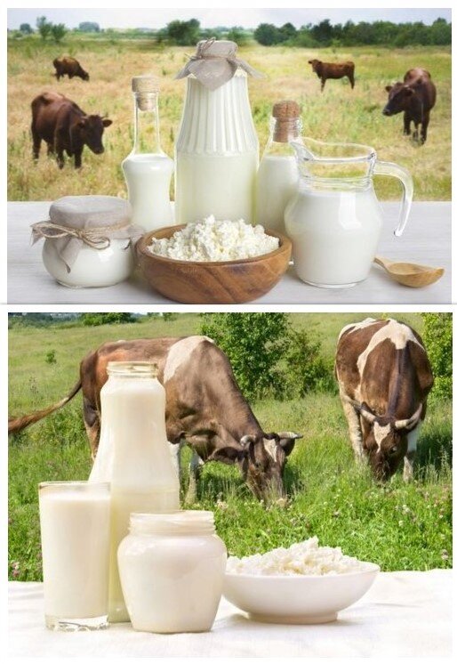 Фото из открытых источников Яндекса. Коллаж мой. 