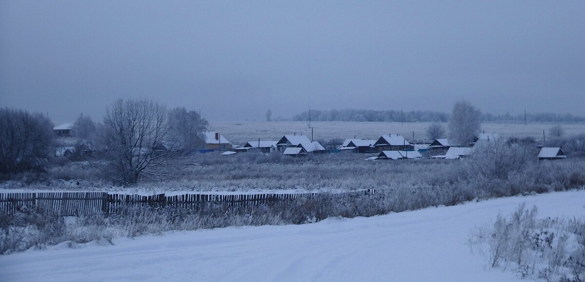 фото автора, декабрь 2017