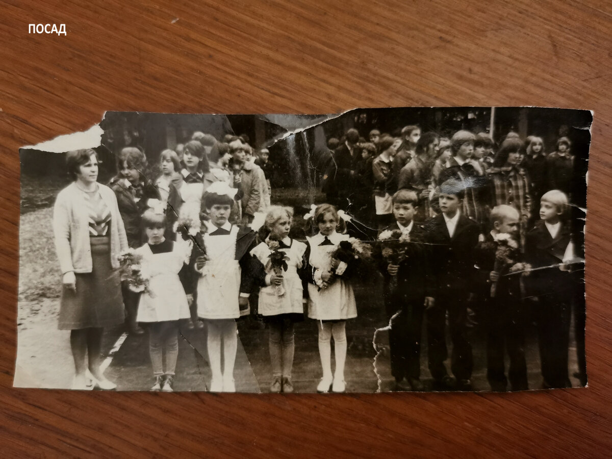 Почти у всех детей астры.