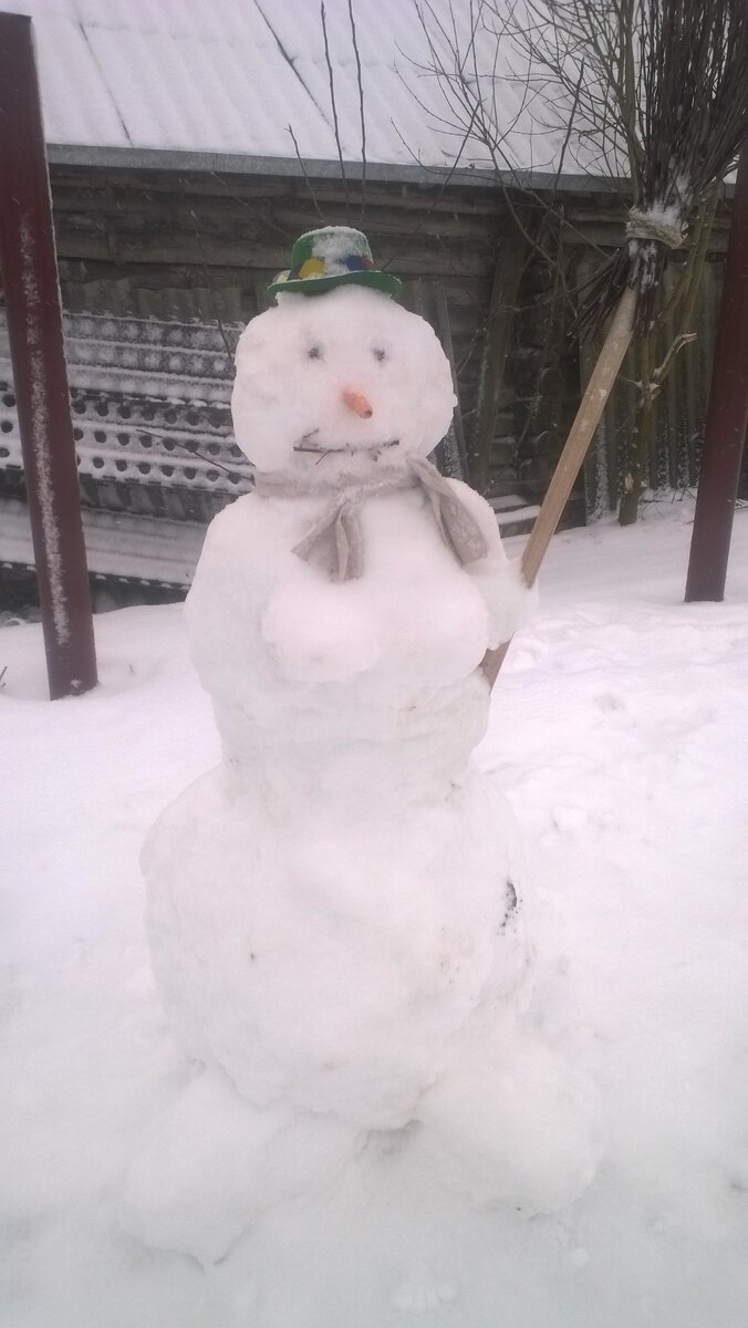 Я его слепила из того, что было)))