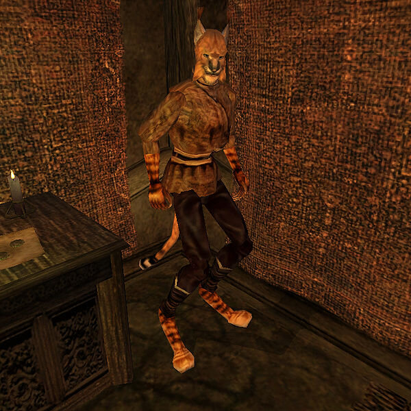 Ра'Вирр в The Elder Scrolls III: Morrowind