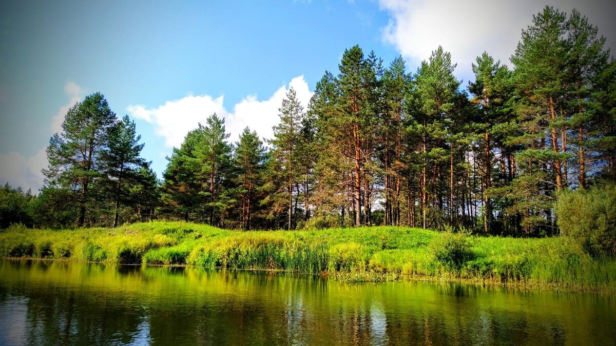 Назад к природе!