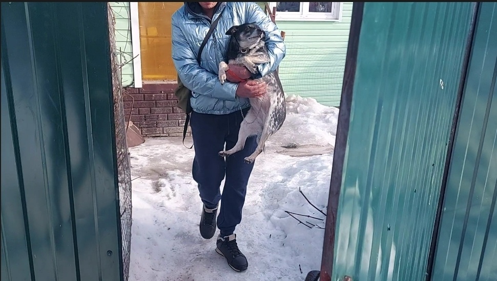 Тосю вырвали из ее маленького мирка
